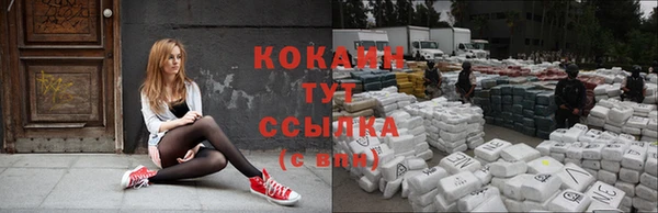 МДПВ Навашино
