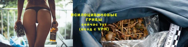 дживик Майский