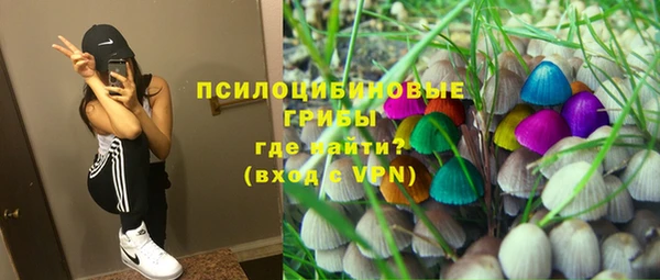 прущая мука Анива