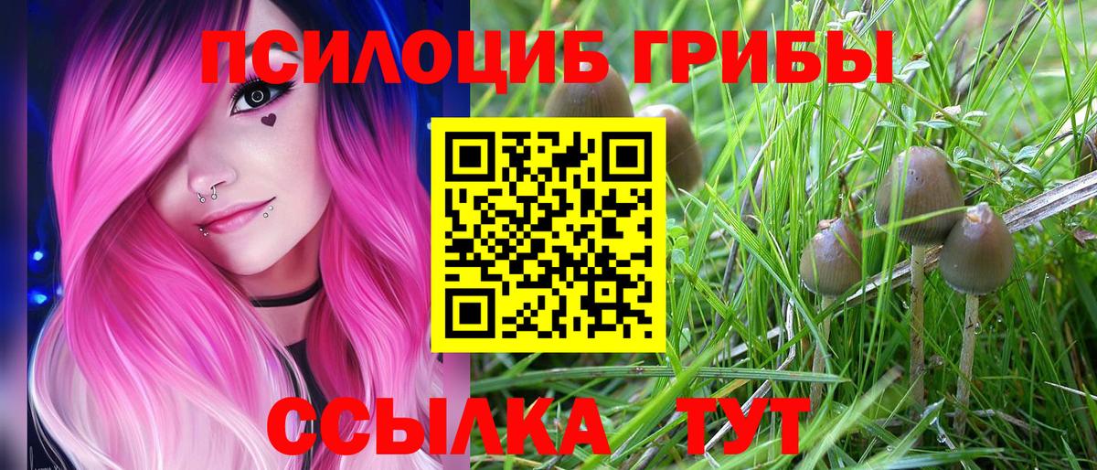 Галлюциногенные грибы GOLDEN TEACHER  Вход с VPN  Подольск 