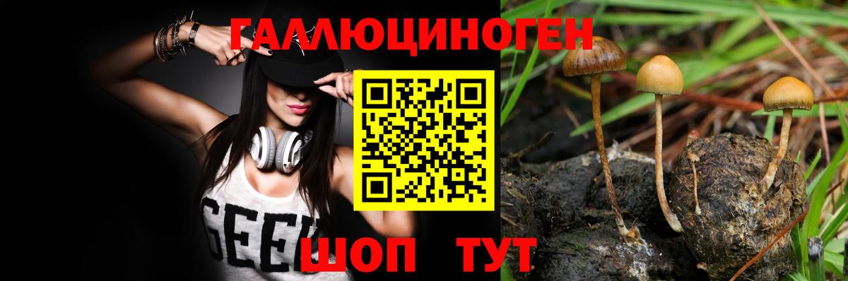 Псилоцибиновые грибы Magic Shrooms Подольск